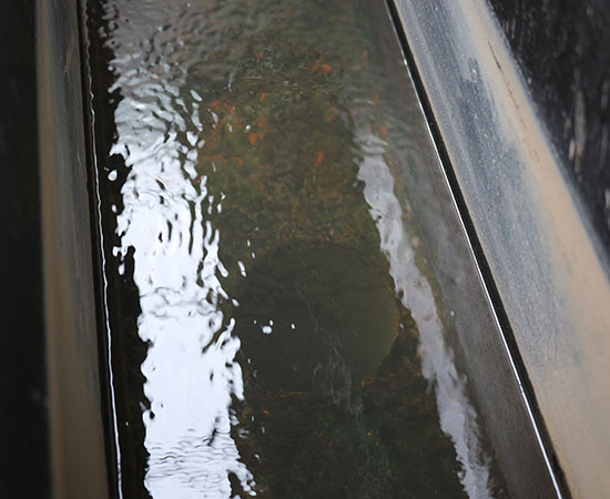 气浮机除磷效果好吗？
